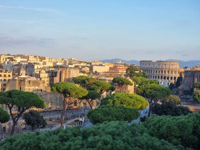 campery asone - 02 (4)